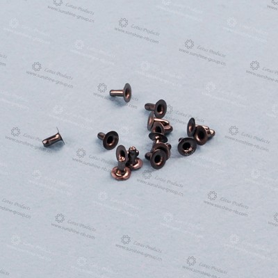 Different Styles of Brass Material Rivet